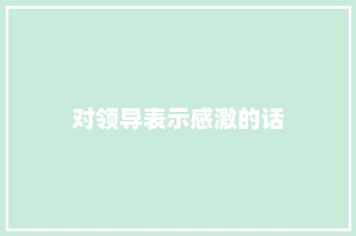 对领导表示感激的话