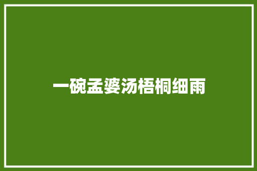 一碗孟婆汤梧桐细雨