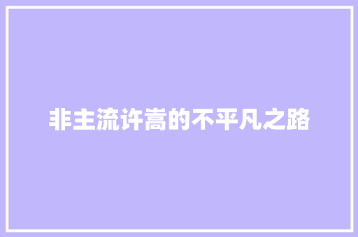 非主流许嵩的不平凡之路