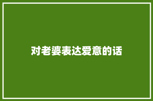 对老婆表达爱意的话