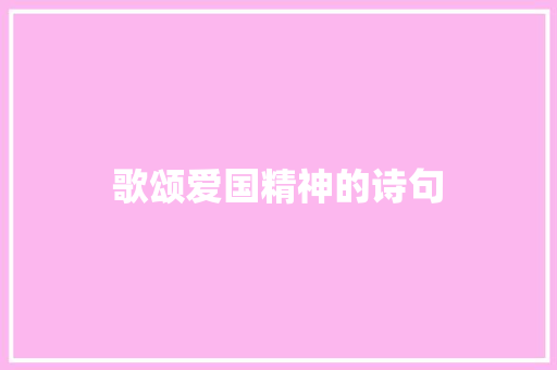 歌颂爱国精神的诗句