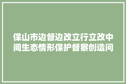 保山市边督边改立行立改中间生态情形保护督察创造问题