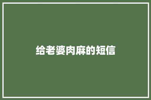 给老婆肉麻的短信