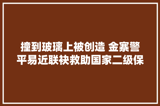 撞到玻璃上被创造 金寨警平易近联袂救助国家二级保护野生动物隼