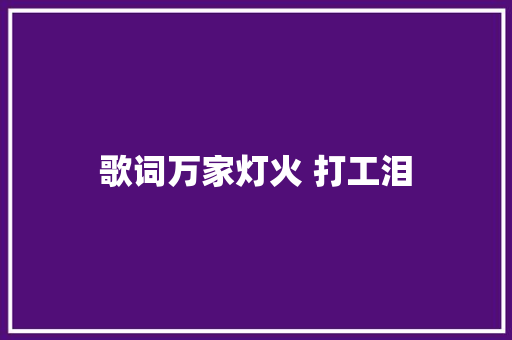 歌词万家灯火 打工泪