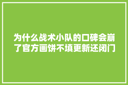 为什么战术小队的口碑会崩了官方画饼不填更新还闭门造车 汽车知识