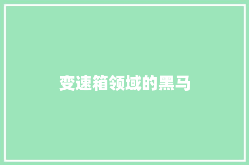 变速箱领域的黑马