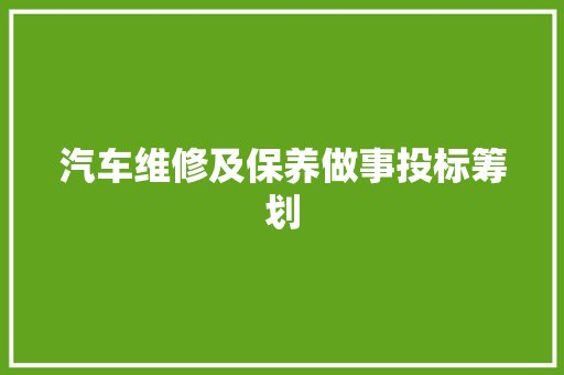 汽车维修及保养做事投标筹划
