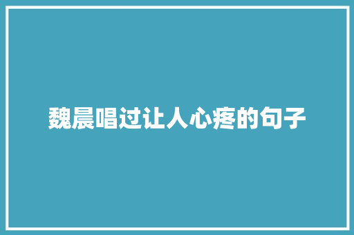 魏晨唱过让人心疼的句子