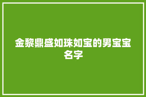金黎鼎盛如珠如宝的男宝宝名字