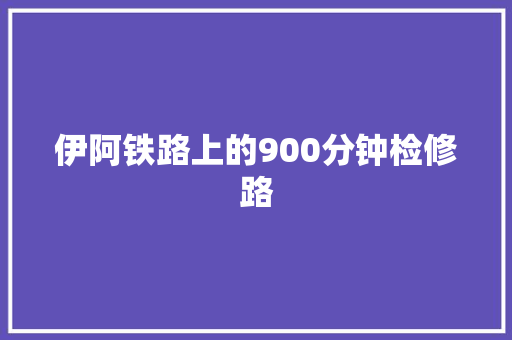 伊阿铁路上的900分钟检修路 汽车知识