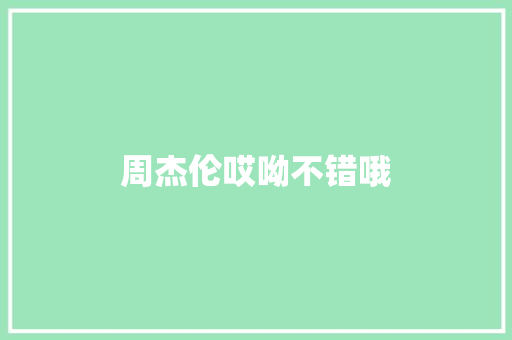 周杰伦哎呦不错哦