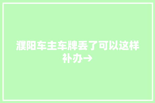 濮阳车主车牌丢了可以这样补办→