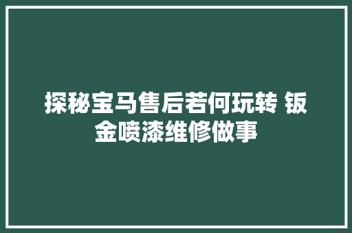 探秘宝马售后若何玩转 钣金喷漆维修做事