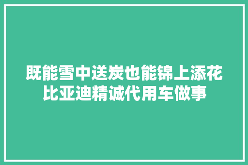 既能雪中送炭也能锦上添花比亚迪精诚代用车做事