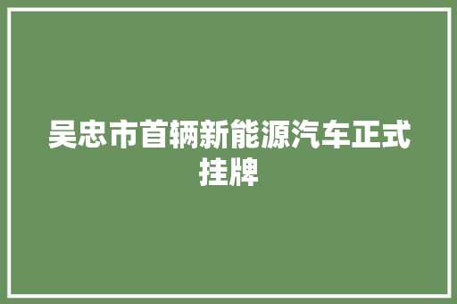 吴忠市首辆新能源汽车正式挂牌