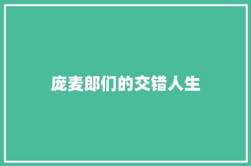 庞麦郎们的交错人生