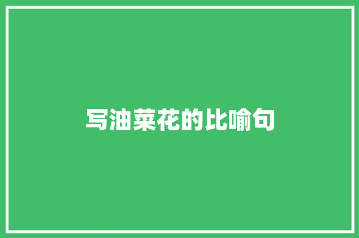 写油菜花的比喻句