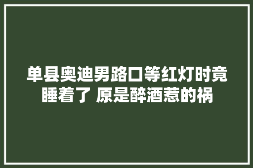 单县奥迪男路口等红灯时竟睡着了 原是醉酒惹的祸