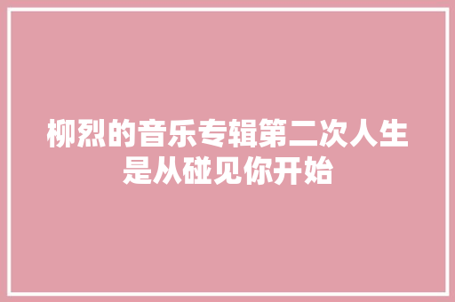 柳烈的音乐专辑第二次人生是从碰见你开始