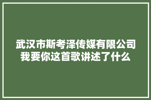 武汉市斯考泽传媒有限公司我要你这首歌讲述了什么