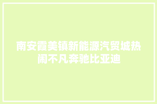 南安霞美镇新能源汽贸城热闹不凡奔驰比亚迪