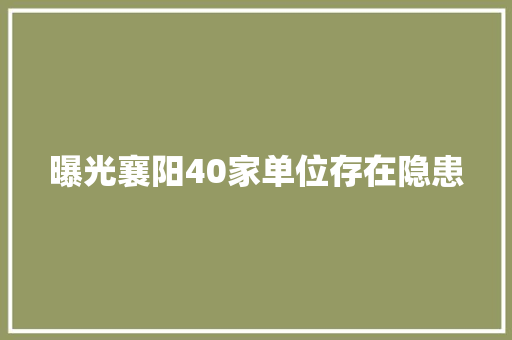 曝光襄阳40家单位存在隐患