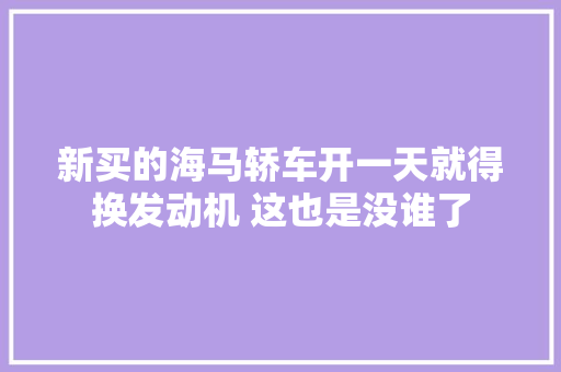 新买的海马轿车开一天就得换发动机 这也是没谁了