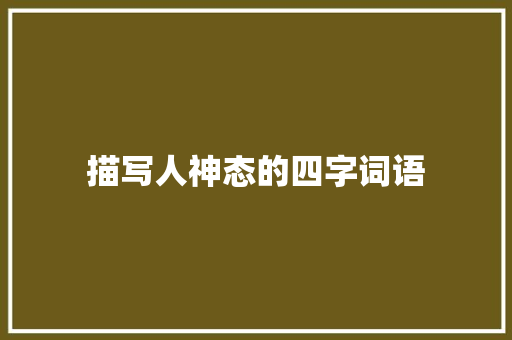 描写人神态的四字词语