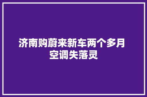 济南购蔚来新车两个多月 空调失落灵