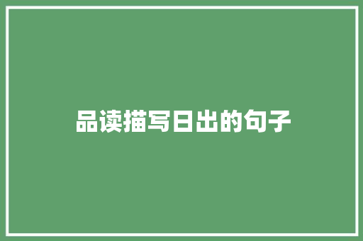 品读描写日出的句子