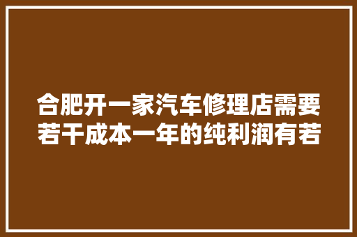 合肥开一家汽车修理店需要若干成本一年的纯利润有若干