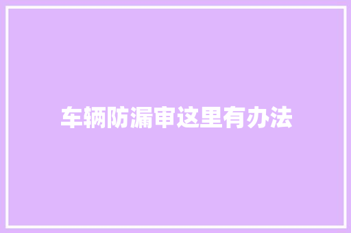 车辆防漏审这里有办法