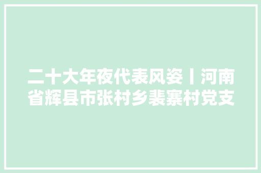 二十大年夜代表风姿丨河南省辉县市张村乡裴寨村党支部书记裴春亮推动家当成长 带动村平易近增收 汽车知识
