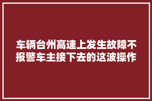 车辆台州高速上发生故障不报警车主接下去的这波操作真是…