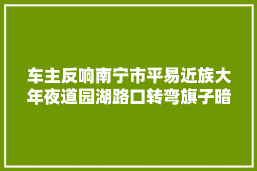车主反响南宁市平易近族大年夜道园湖路口转弯旗子暗记灯有问题 交警部门回应