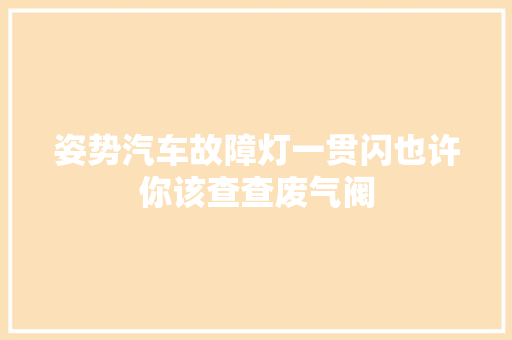 姿势汽车故障灯一贯闪也许你该查查废气阀