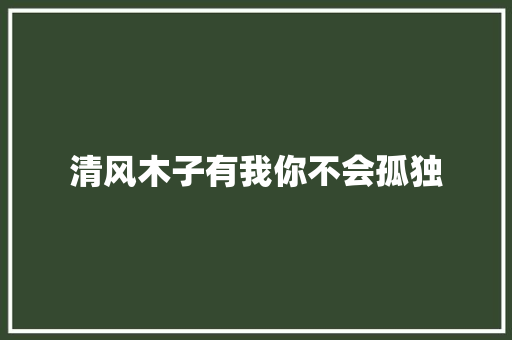 清风木子有我你不会孤独