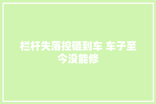 栏杆失落控砸到车 车子至今没能修