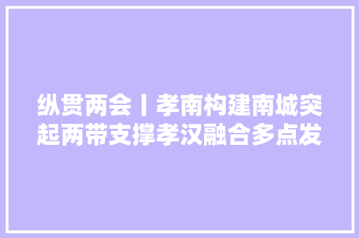 纵贯两会丨孝南构建南城突起两带支撑孝汉融合多点发力区域成长构造