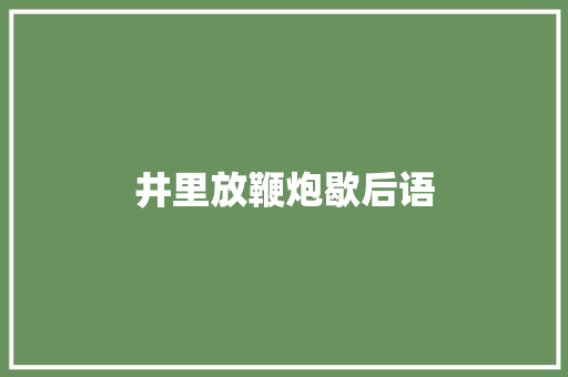 井里放鞭炮歇后语