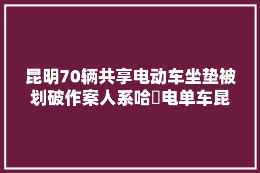 昆明70辆共享电动车坐垫被划破作案人系哈啰电单车昆明城市负责人