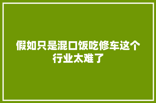 假如只是混口饭吃修车这个行业太难了 汽车知识