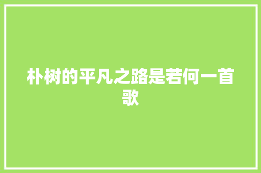 朴树的平凡之路是若何一首歌