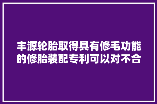 丰源轮胎取得具有修毛功能的修胎装配专利可以对不合大年夜小的轮胎进行夹持固定从而去毛边