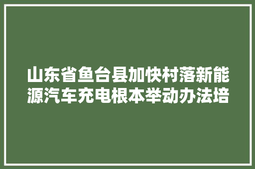山东省鱼台县加快村落新能源汽车充电根本举动办法培植农家门口有了充电桩