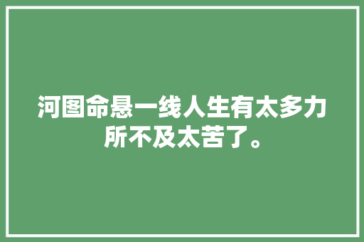 河图命悬一线人生有太多力所不及太苦了。