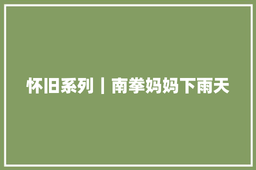 怀旧系列｜南拳妈妈下雨天