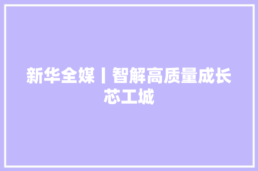 新华全媒丨智解高质量成长芯工城