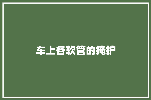 车上各软管的掩护